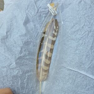 Striped Brown and Tan Feather for Habitat Decor ORNAMENT